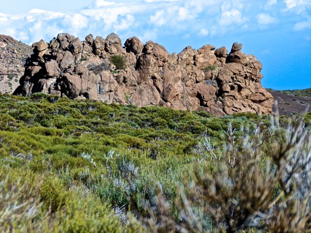 Foto: Walter Ruttinger / Wandertour / Teneriffa Höhenwanderung Caldera del Teide SW / 08.04.2016 13:03:20