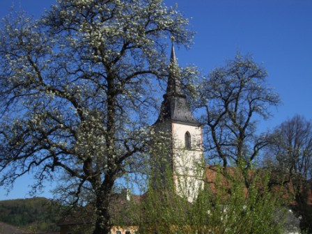 Foto: Wolfgang Dröthandl / Wandertour / Hainfelder Kirchenberg und Lindenstein / Pfarrkirche Hainfeld / 18.04.2016 13:28:15