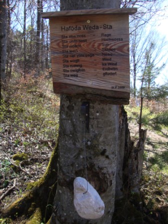 Foto: Wolfgang Dröthandl / Wandertour / Hainfelder Kirchenberg und Lindenstein / Am Waldkamm knapp unterhalb der Hainfelder Hütte / 18.04.2016 13:26:38