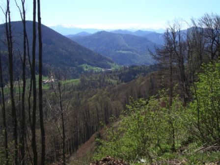 Foto: Wolfgang Dröthandl / Wandertour / Hainfelder Kirchenberg und Lindenstein / Schneeberg und Rax vom Hainfelder Kirchenberg / 18.04.2016 13:25:58