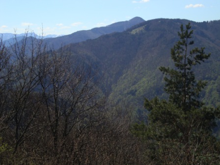 Foto: Wolfgang Dröthandl / Wandertour / Hainfelder Kirchenberg und Lindenstein / Blick von der Hüttenterrasse - links am Horizont Gippel und Göller / 18.04.2016 13:25:14