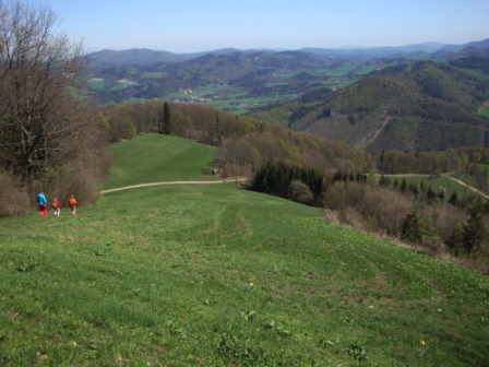 Foto: Wolfgang Dröthandl / Wandertour / Hainfelder Kirchenberg und Lindenstein / Blick vom Gipfel nach Nordosten, links im HIntergrund der Schöpfl / 18.04.2016 13:24:43