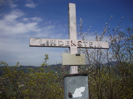 Foto: Wolfgang Dröthandl / Wandertour / Hainfelder Kirchenberg und Lindenstein / Lindenstein (699m) / 18.04.2016 13:22:12