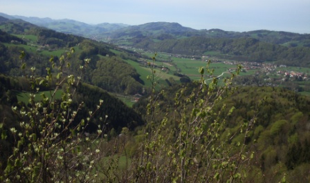 Foto: Wolfgang Dröthandl / Wandertour / Hainfelder Kirchenberg und Lindenstein / Blick vom Lindenstein ins Gölsental / 18.04.2016 13:21:53