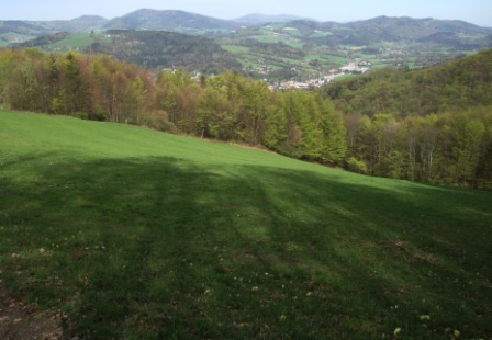 Foto: Wolfgang Dröthandl / Wandertour / Hainfelder Kirchenberg und Lindenstein / Talblick beim Abstieg / 18.04.2016 13:20:14