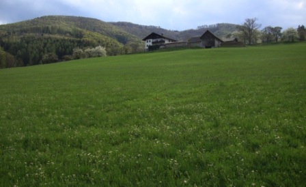 Foto: Wolfgang Dröthandl / Wandertour / Hainfelder Kirchenberg und Lindenstein / Blick zurück zum Unteren Kirchenbauer und auf den Kirchenberg / 18.04.2016 13:18:17