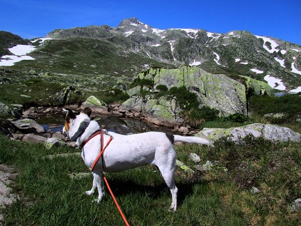 Foto: Andreas Koller / Wandertour / Sidelhorn mit Gletscherblick (2764m) / 25.04.2016 02:06:23