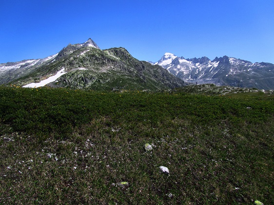 Foto: Andreas Koller / Wandertour / Sidelhorn mit Gletscherblick (2764m) / 25.04.2016 02:05:59