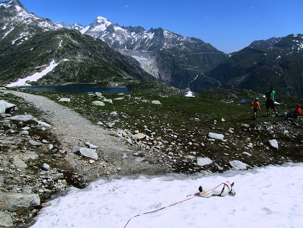 Foto: Andreas Koller / Wandertour / Sidelhorn mit Gletscherblick (2764m) / 25.04.2016 02:04:49