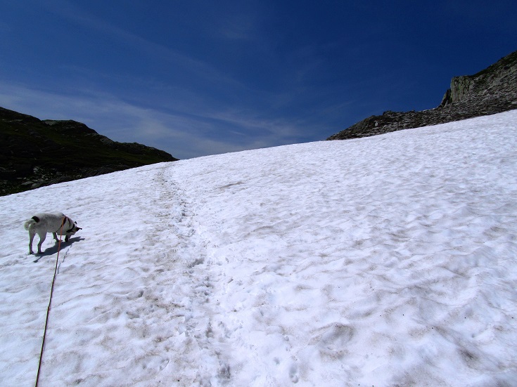 Foto: Andreas Koller / Wandertour / Sidelhorn mit Gletscherblick (2764m) / 25.04.2016 02:04:32