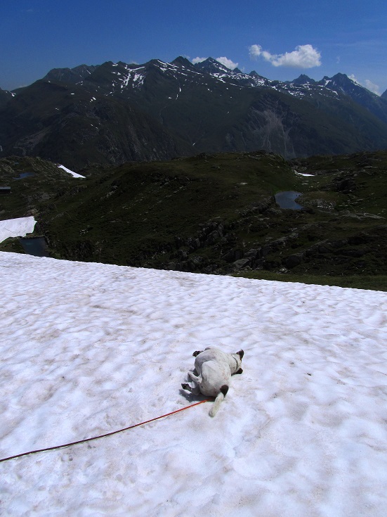 Foto: Andreas Koller / Wandertour / Sidelhorn mit Gletscherblick (2764m) / 25.04.2016 02:04:23