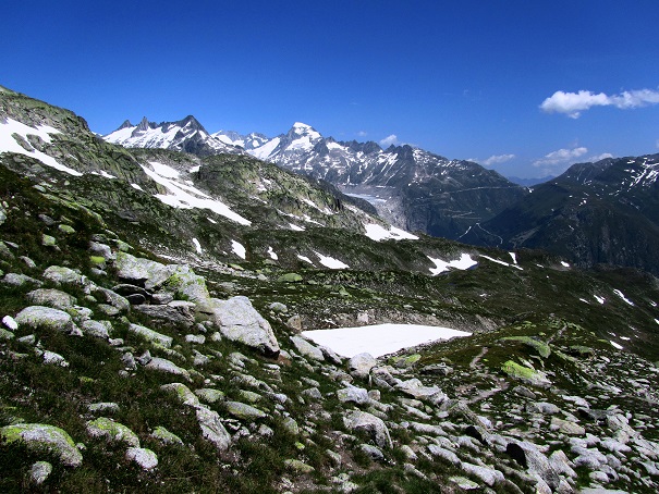 Foto: Andreas Koller / Wandertour / Sidelhorn mit Gletscherblick (2764m) / 25.04.2016 02:03:03