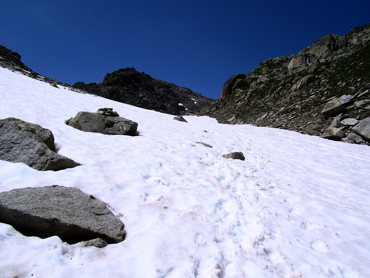 Foto: Andreas Koller / Wandertour / Sidelhorn mit Gletscherblick (2764m) / 25.04.2016 02:02:25