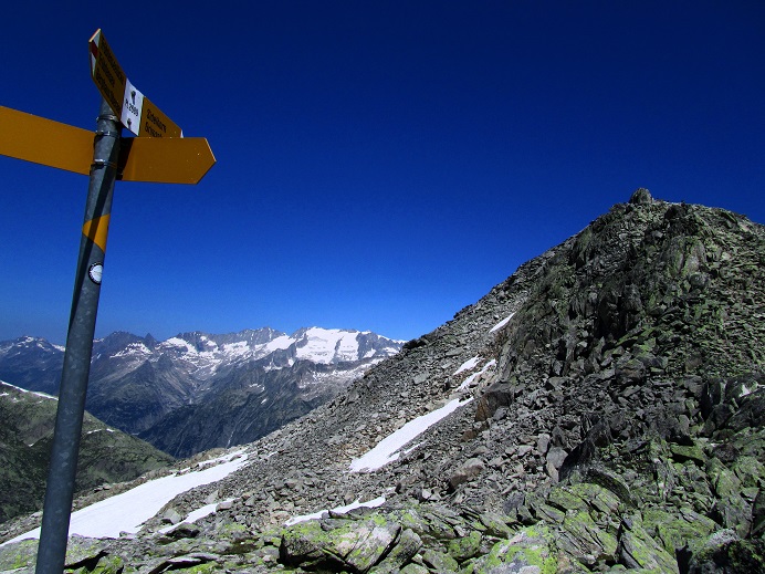 Foto: Andreas Koller / Wandertour / Sidelhorn mit Gletscherblick (2764m) / 25.04.2016 02:01:23