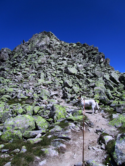 Foto: Andreas Koller / Wandertour / Sidelhorn mit Gletscherblick (2764m) / Finaler Anstieg / 25.04.2016 02:00:59