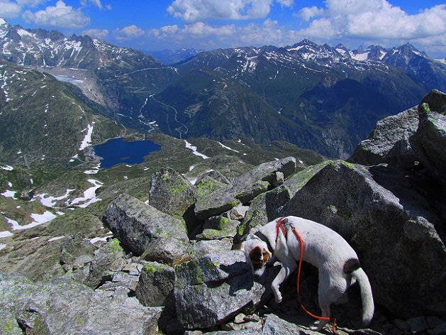 Foto: Andreas Koller / Wandertour / Sidelhorn mit Gletscherblick (2764m) / 25.04.2016 01:58:59