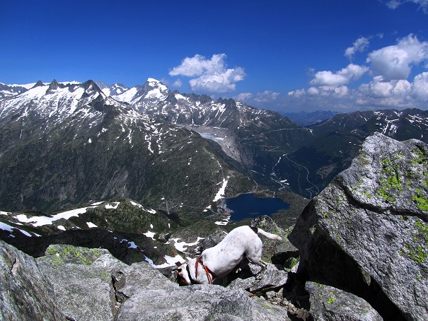 Foto: Andreas Koller / Wandertour / Sidelhorn mit Gletscherblick (2764m) / 25.04.2016 01:58:00