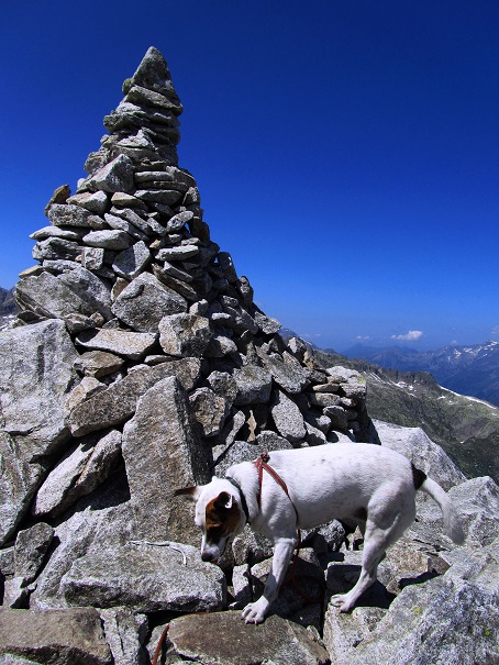 Foto: Andreas Koller / Wandertour / Sidelhorn mit Gletscherblick (2764m) / 25.04.2016 01:57:51