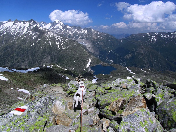 Foto: Andreas Koller / Wandertour / Sidelhorn mit Gletscherblick (2764m) / Abstieg vom Sidelhorn mit fantastischem Blick auf die Urner Alpen / 25.04.2016 01:57:23