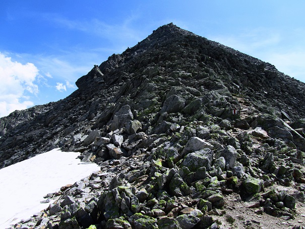 Foto: Andreas Koller / Wandertour / Sidelhorn mit Gletscherblick (2764m) / Blockreiches Sidelhorn / 25.04.2016 01:56:43