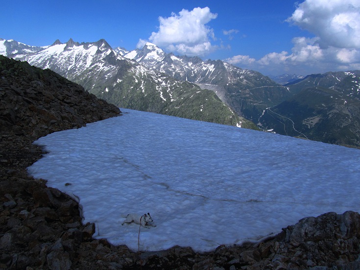 Foto: Andreas Koller / Wandertour / Sidelhorn mit Gletscherblick (2764m) / 25.04.2016 01:56:13