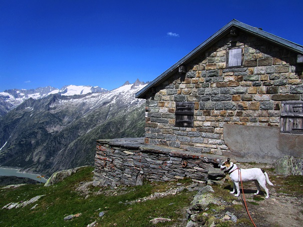 Foto: Andreas Koller / Wandertour / Sidelhorn mit Gletscherblick (2764m) / 25.04.2016 01:55:25