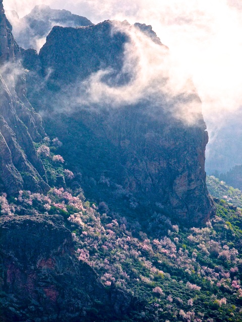 Foto: Walter Ruttinger / Wandertour / Gran Canaria Pico de las Nieves Höhenpanorama- / Mandelblüte im Februar / 26.04.2016 13:47:37
