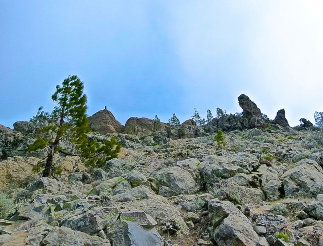 Foto: Walter Ruttinger / Wandertour / Gran Canaria Pico de las Nieves Höhenpanorama- / 26.04.2016 13:44:51