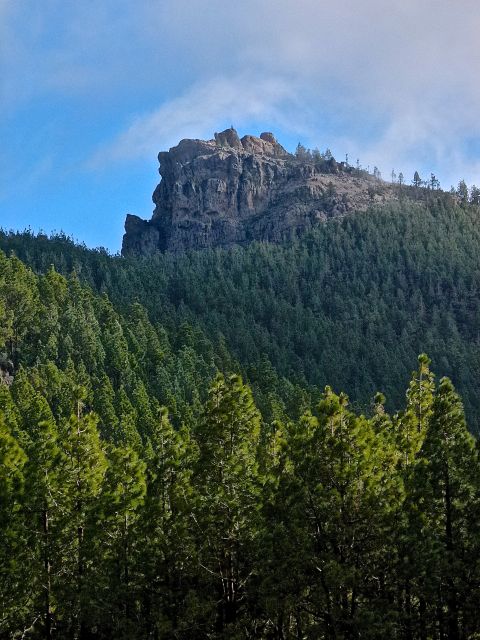 Foto: Walter Ruttinger / Wandertour / Gran Canaria Pico de las Nieves Höhenpanorama- / Weiter am Weg zum Hauptgipfel / 26.04.2016 13:37:31