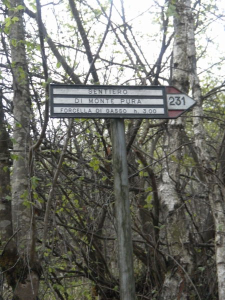 Foto: Wolfgang Lauschensky / Wandertour / Monte Pura - Punta Tisdel Überschreitung / Abzweig in den Bergpfad / 26.04.2016 16:19:13