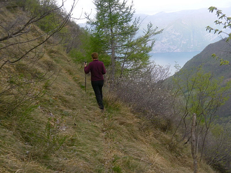 Foto: Wolfgang Lauschensky / Wandertour / Monte Pura - Punta Tisdel Überschreitung / schmaler Wiesenpfad / 26.04.2016 16:18:38