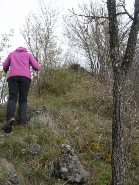 Foto: Wolfgang Lauschensky / Wandertour / Monte Pura - Punta Tisdel Überschreitung / steiler Nordrücken / 26.04.2016 16:18:21
