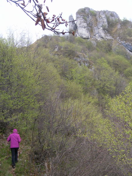 Foto: Wolfgang Lauschensky / Wandertour / Monte Pura - Punta Tisdel Überschreitung / Kammwanderung am Monte Pura / 26.04.2016 16:18:08