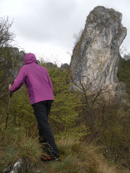 Foto: Wolfgang Lauschensky / Wandertour / Monte Pura - Punta Tisdel Überschreitung / dolomitische Kammfelsen / 26.04.2016 16:17:56