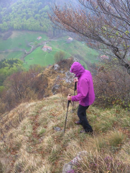 Foto: Wolfgang Lauschensky / Wandertour / Monte Pura - Punta Tisdel Überschreitung / Abstieg zur Forcella di Gasso / 26.04.2016 16:16:14
