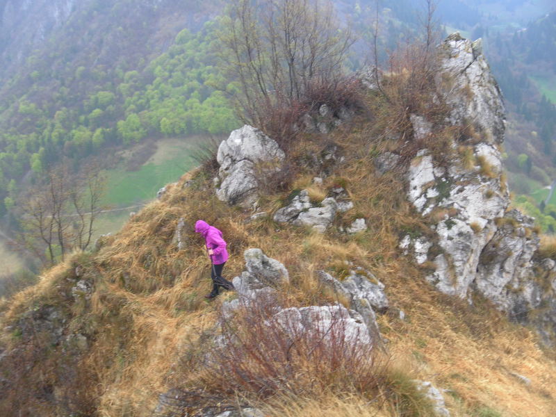 Foto: Wolfgang Lauschensky / Wandertour / Monte Pura - Punta Tisdel Überschreitung / Schrofengratabstieg / 26.04.2016 16:16:02