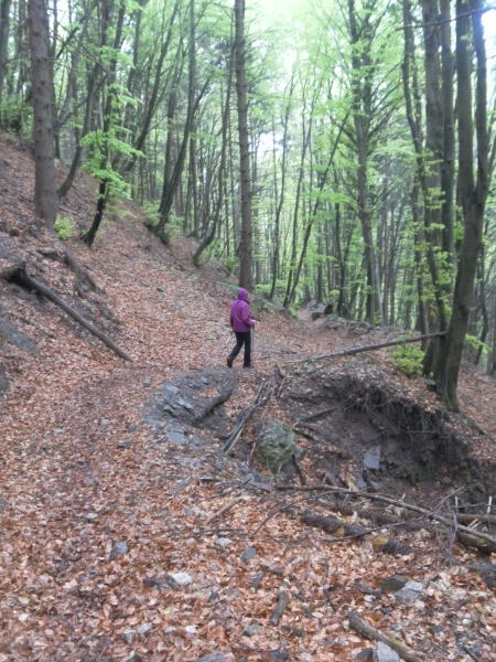 Foto: Wolfgang Lauschensky / Wandertour / Monte Pura - Punta Tisdel Überschreitung / Rückweg / 26.04.2016 16:15:42