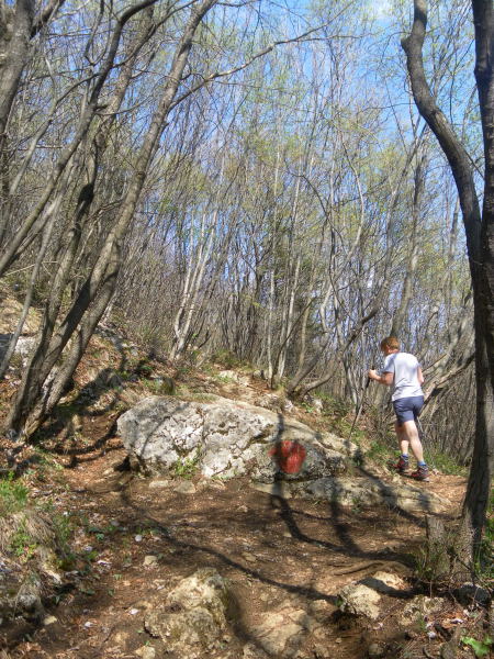 Foto: Wolfgang Lauschensky / Wandertour / Corna Trentapassi und Monte Vignole / Ostflanke / 26.04.2016 19:07:19