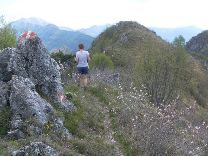 Foto: Wolfgang Lauschensky / Wandertour / Corna Trentapassi und Monte Vignole / Kammwanderung / 26.04.2016 19:04:48