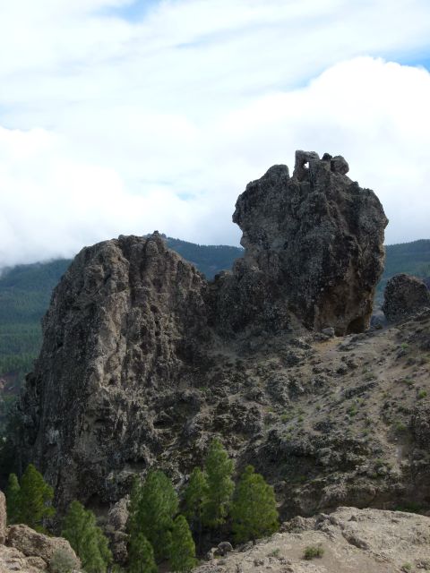 Foto: Walter Ruttinger / Wandertour / Gran Canaria: Roque Nublo / El Montanon Rund- / 28.04.2016 09:05:15