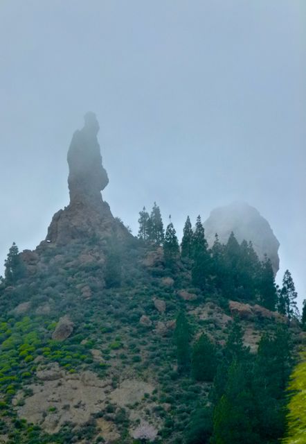 Foto: Walter Ruttinger / Wandertour / Gran Canaria: Roque Nublo / El Montanon Rund- / Roque Nublo = Nebelfelsen .... / 28.04.2016 09:04:51
