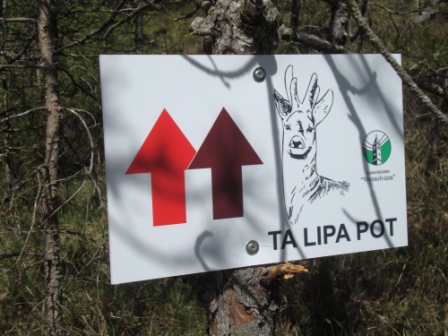 Foto: Wolfgang Dröthandl / Wandertour / Ta Lipa Pot - Wanderrunde im Val Resia / Weg ist nicht zu verfehlen! / 02.05.2016 08:25:54