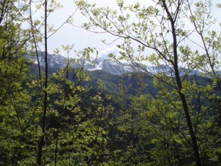 Foto: Wolfgang Dröthandl / Wandertour / Ta Lipa Pot - Wanderrunde im Val Resia / Blick nach Süden (Monte Musi) / 02.05.2016 08:23:23