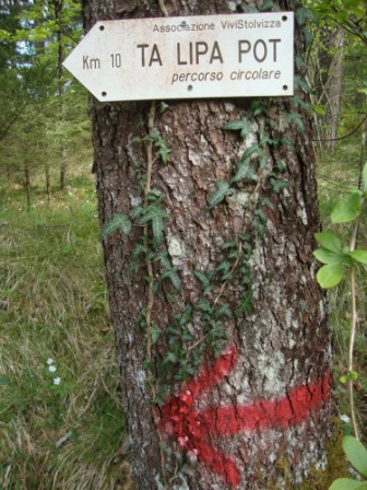Foto: Wolfgang Dröthandl / Wandertour / Ta Lipa Pot - Wanderrunde im Val Resia / Weg ist nicht zu verfehlen! / 02.05.2016 08:21:42