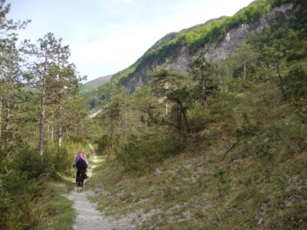 Foto: Wolfgang Dröthandl / Wandertour / Ta Lipa Pot - Wanderrunde im Val Resia / Durch die Flussauen... / 02.05.2016 08:20:47