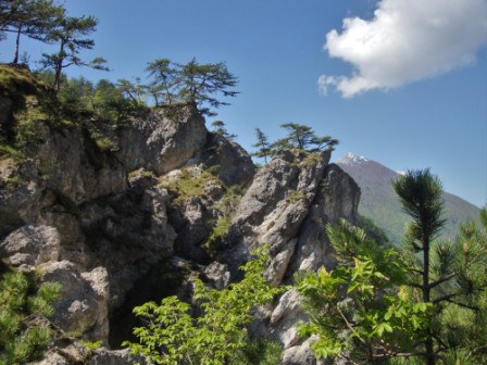 Foto: Wolfgang Dröthandl / Wandertour / Moggessa di qua, Moggessa di la und Stavoli - vergessene Dörfer in Friaul / 10.05.2016 13:52:15