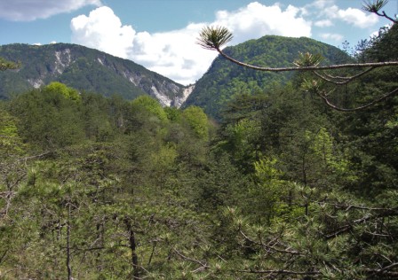 Foto: Wolfgang Dröthandl / Wandertour / Moggessa di qua, Moggessa di la und Stavoli - vergessene Dörfer in Friaul / Blick zurück auf den Sattel von unserem Hinweg / 10.05.2016 13:42:02