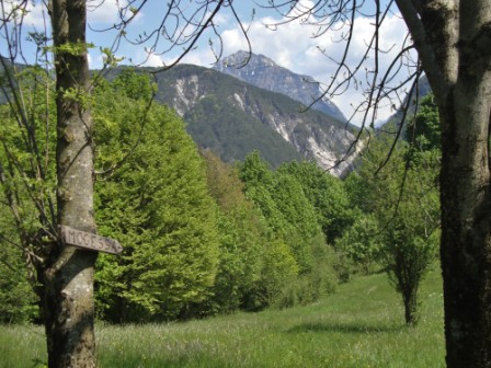 Foto: Wolfgang Dröthandl / Wandertour / Moggessa di qua, Moggessa di la und Stavoli - vergessene Dörfer in Friaul / Über Wiesen nach Stavoli / 10.05.2016 13:41:34