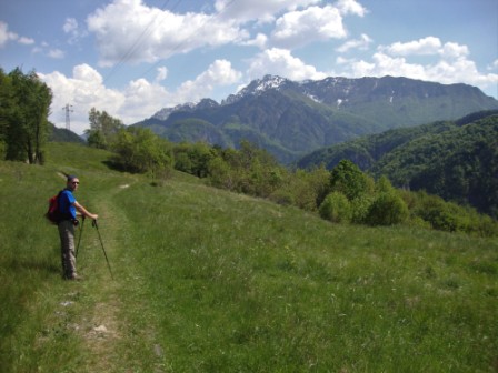 Foto: Wolfgang Dröthandl / Wandertour / Moggessa di qua, Moggessa di la und Stavoli - vergessene Dörfer in Friaul / Über Wiesen Richtung Glagno-Schlucht / 10.05.2016 13:39:45