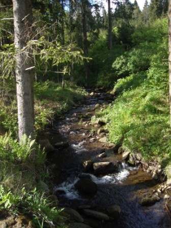 Foto: Wolfgang Dröthandl / Wandertour / Krebsenwandermeile Fresach / Wei(e)rerbach / 18.05.2016 13:46:29